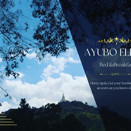 Ayubo Ella - Bed & Breakfast المظهر الخارجي الصورة
