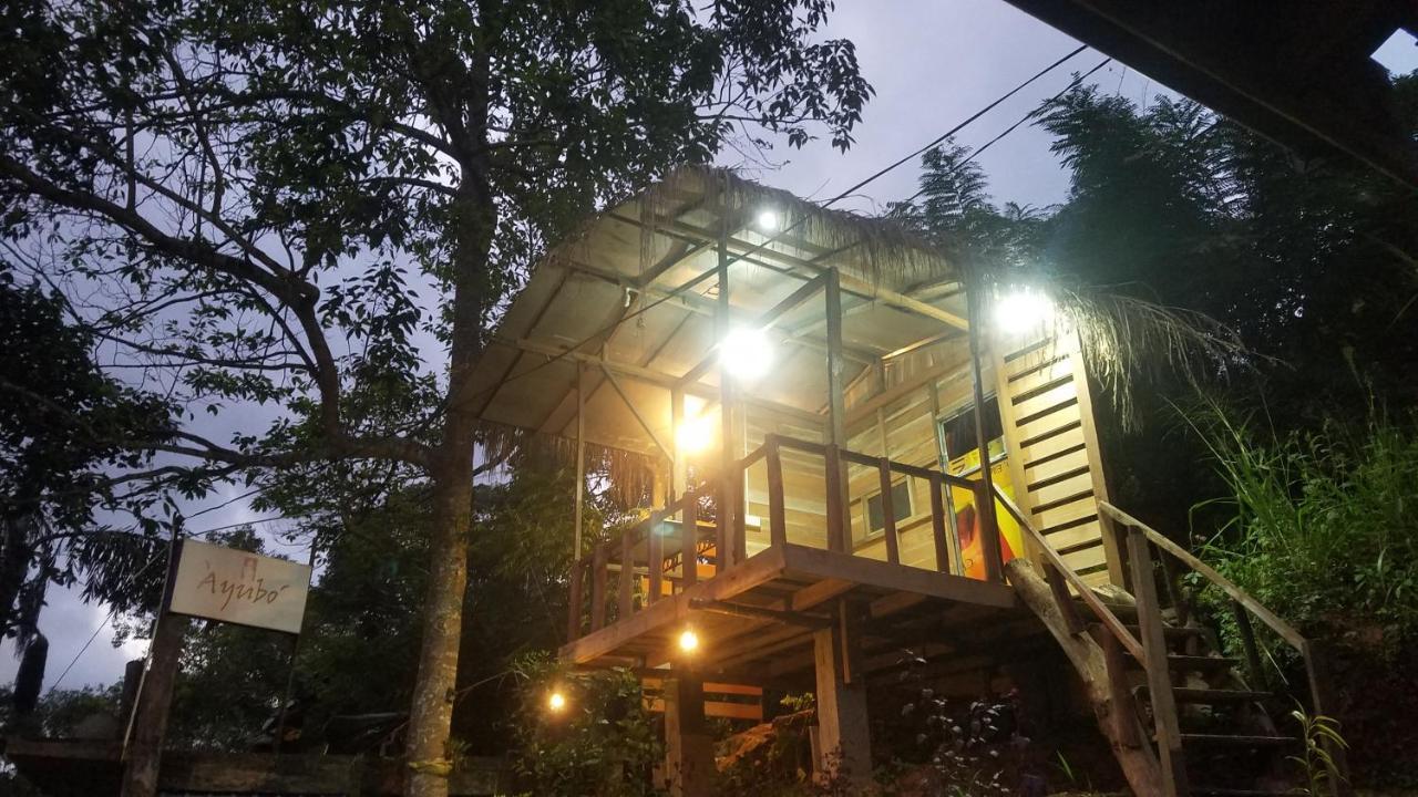 Ayubo Ella - Bed & Breakfast المظهر الخارجي الصورة