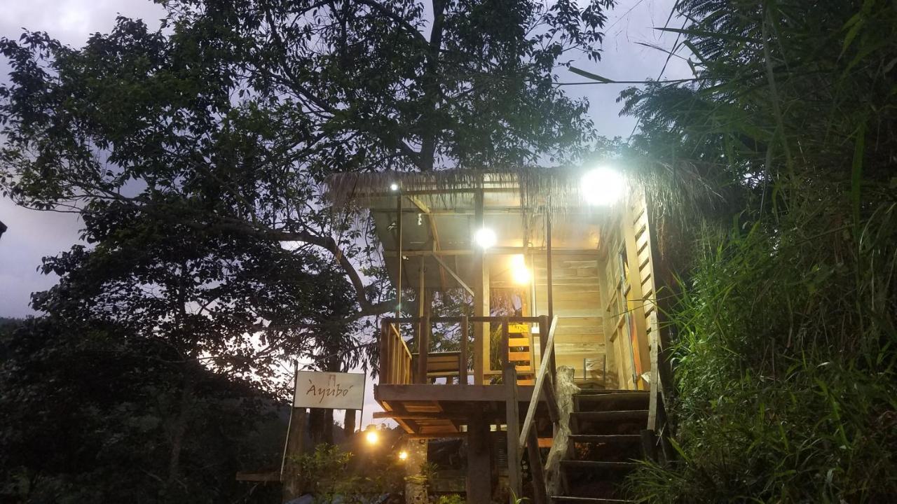 Ayubo Ella - Bed & Breakfast المظهر الخارجي الصورة