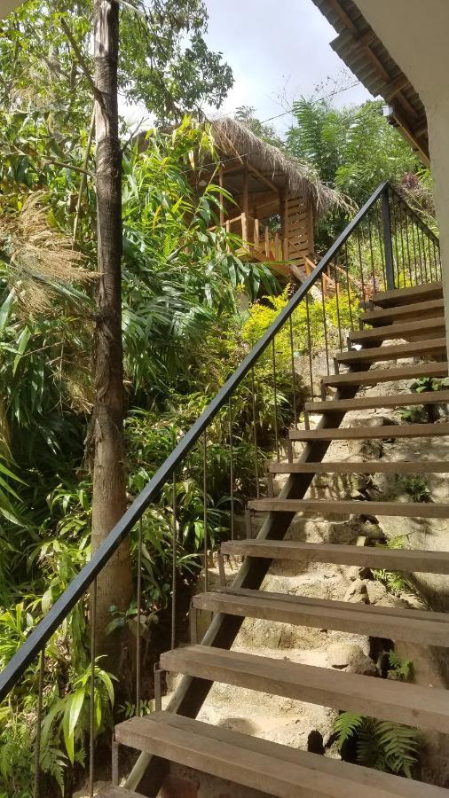 Ayubo Ella - Bed & Breakfast المظهر الخارجي الصورة
