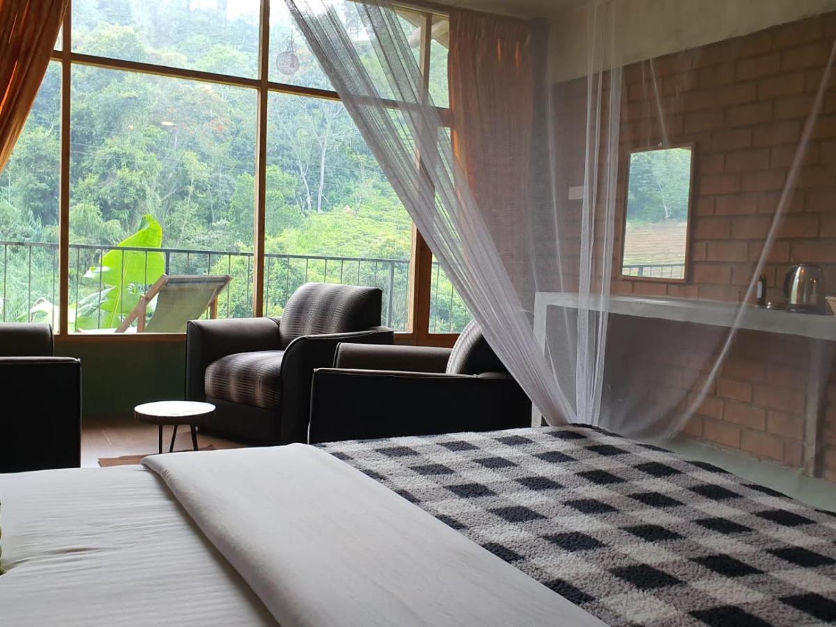 Ayubo Ella - Bed & Breakfast المظهر الخارجي الصورة